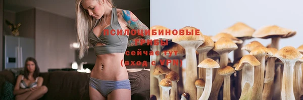spice Алзамай