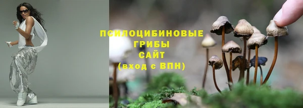спайс Абинск