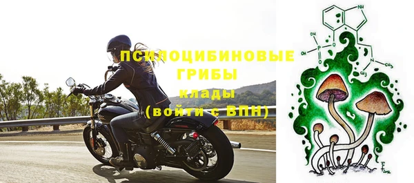 spice Алзамай