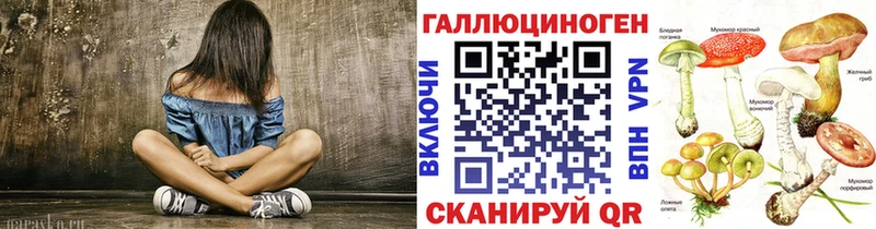 Псилоцибиновые грибы Psilocybe наркотики блэк спрут как зайти Тотьма